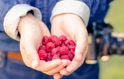 La indemana pe timpul verii! Trei surse importante de antioxidanti care intaresc sistemul imunitar