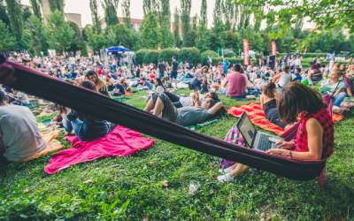 Marele Picnic Cinematografic...