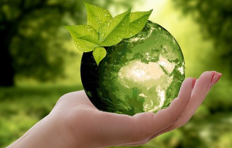  Top  E mai usor decat pare. Trucuri pentru a economisi bani si pentru a proteja natura