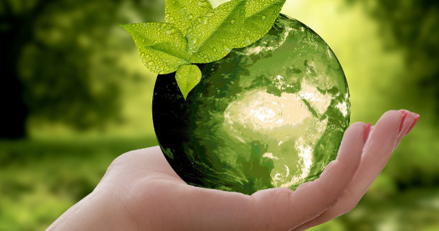  Top  E mai usor decat pare. Trucuri pentru a economisi bani si pentru a proteja natura