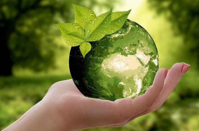 E mai usor decat pare. Trucuri pentru a economisi bani si pentru a proteja natura