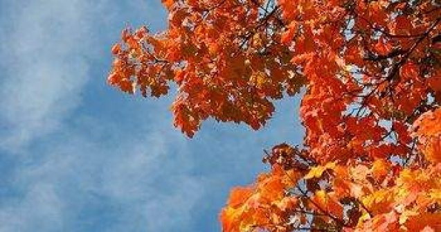 Meteo: Cum va fi vremea joi si vineri