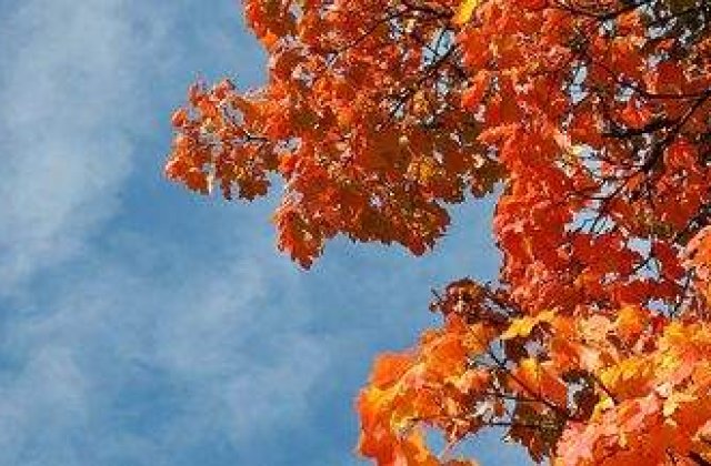 Meteo: Cum va fi vremea joi si vineri