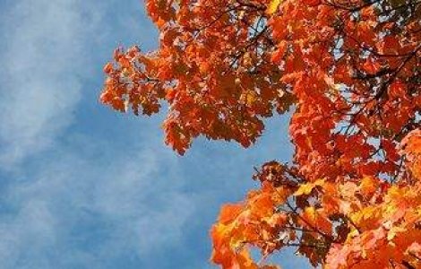 Meteo: Cum va fi vremea joi si vineri