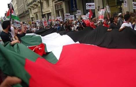 Care este pozitia PE legata de problema Palestinei?