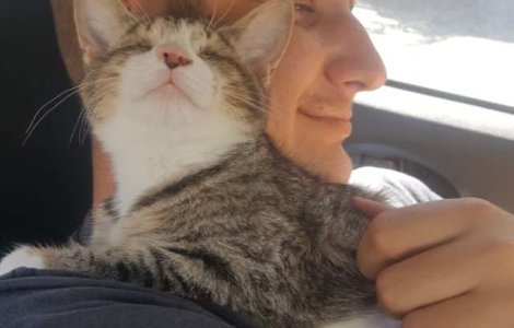 O pisica oarba multumeste celor care au adoptat-o