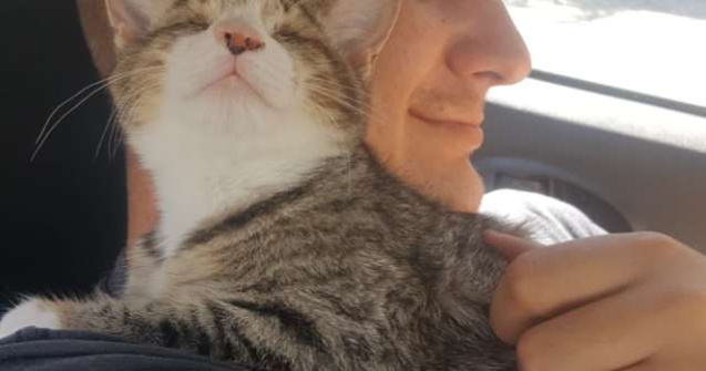 O pisica oarba multumeste celor care au adoptat-o