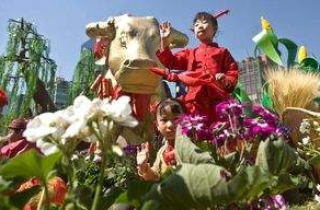 Chinezii se pregatesc sa intre in Anul Boului