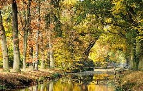 Meteo: Cum va fi vremea in weekend?