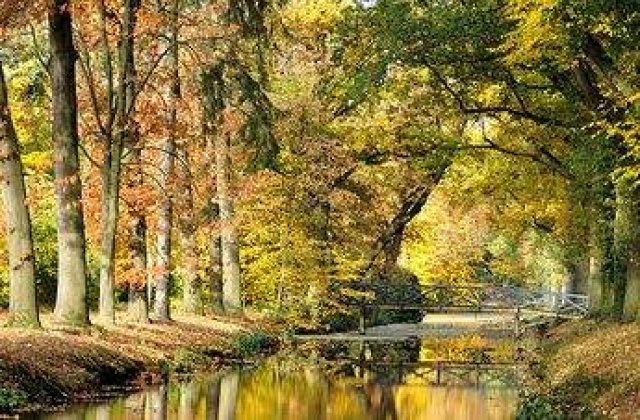 Meteo: Cum va fi vremea in weekend?