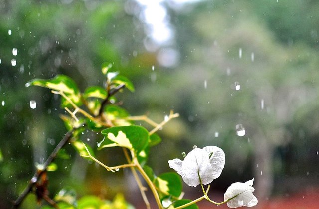 Atentionare de calatorie MAE pentru Grecia: Prelungirea perioadei de inrautatire a vremii pana pe 4 august