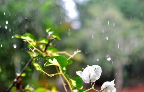 Atentionare de calatorie MAE pentru Grecia: Prelungirea perioadei de inrautatire a vremii pana pe 4 august