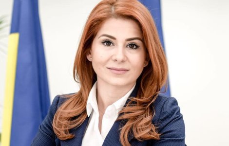 Ioana Bran despre masina cu numere anti-PSD: Nu e normal ca o mama sa vada obscenitati pe strada in anul centenar