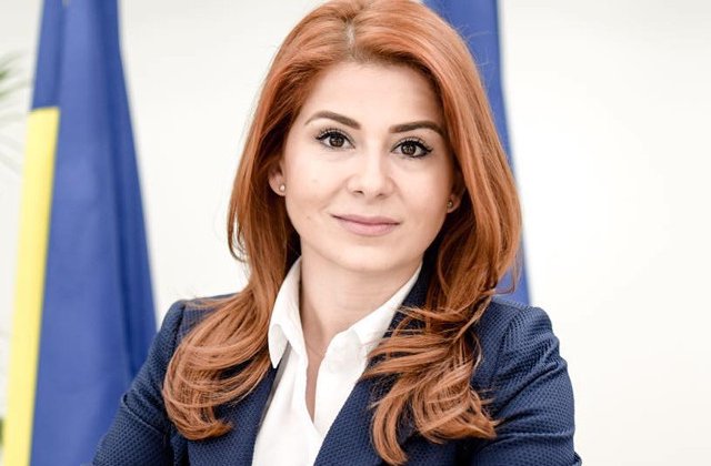 Ioana Bran despre masina cu numere anti-PSD: Nu e normal ca o mama sa vada obscenitati pe strada in anul centenar