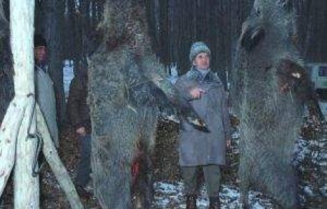 26 ianuarie 2009, ziua in care Nicolae Ceausescu ar fi implinit 91 de ani