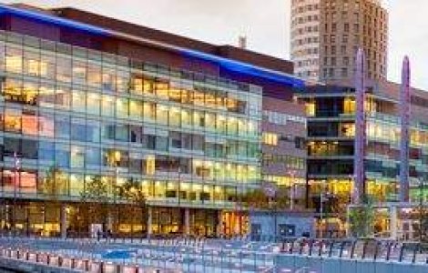 Ce facilitati ofera facultatile din strainatate studentilor