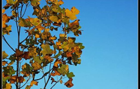 Vemea la inceput de saptamana