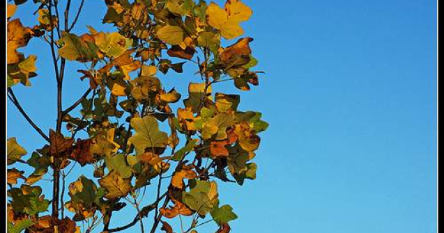 Vemea la inceput de saptamana