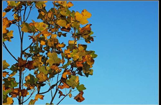 Vemea la inceput de saptamana