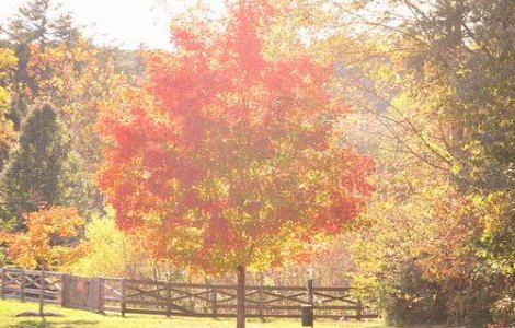 Vara in octombrie: Cum va fi vremea in urmatoarele zile?