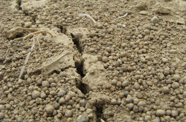 Seism puternic in Argentina