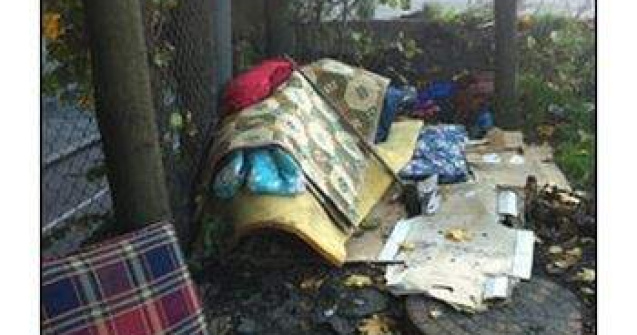 Presa norvegiana: Romanii din Oslo se hranesc cu sobolani si caini la gratar