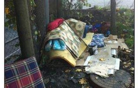 Presa norvegiana: Romanii din Oslo se hranesc cu sobolani si caini la gratar