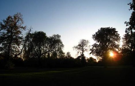 Cum va fi vremea vineri si sambata?