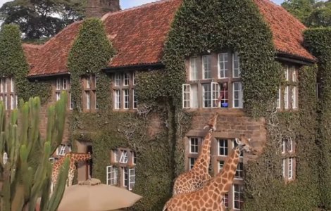  Top  10 destinatii de vacanta perfecte pentru iubitorii de animale