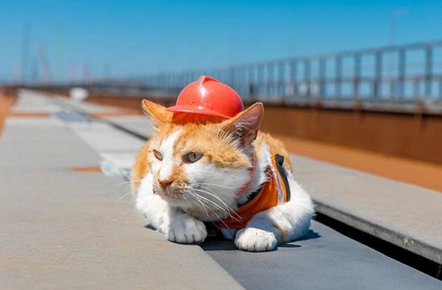 9 inventii inutile si absurde care nu duc lipsa de cumparatori