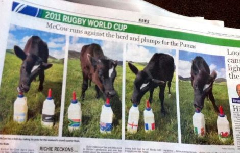 A murit caracatita Paul. Vitelul Richie ii ia locul