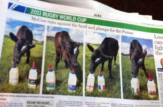 A murit caracatita Paul. Vitelul Richie ii ia locul