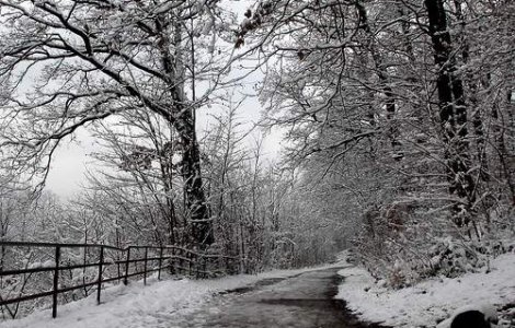  Video  Vreme de iarna in toata tara
