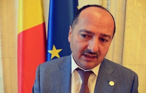 Remus Borza: Romanii din diaspora si-au castigat dreptul de a manifesta