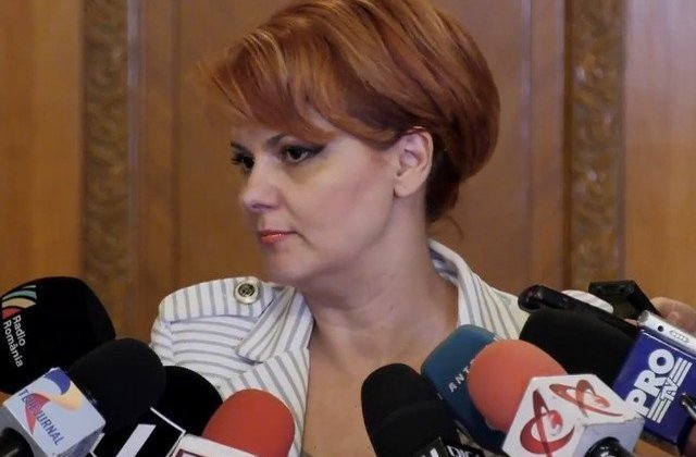 Olguta Vasilescu, despre protestul din Piata Victoriei: Nu cred ca acolo este Diaspora