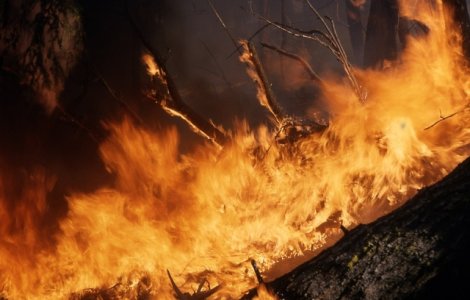Atentionare de calatorie MAE pentru Grecia: Mentinerea riscului ridicat de incendii (grad 4)