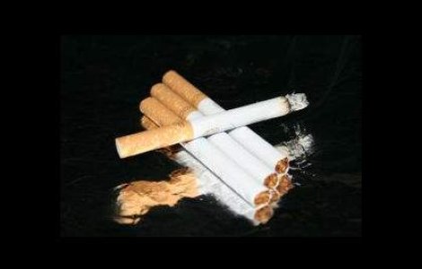  Top  Contrabanda cu tigari, intre cifre si lupta sustinuta de stat