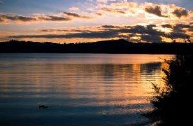 Catastrofa ecologica in Noua Zeelanda