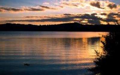 Catastrofa ecologica in Noua...