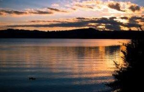 Catastrofa ecologica in Noua Zeelanda