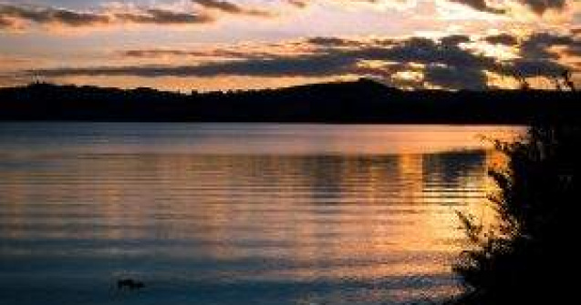 Catastrofa ecologica in Noua Zeelanda