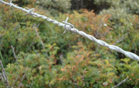 Granita Bulgariei, cea mai sigura din Schengen?