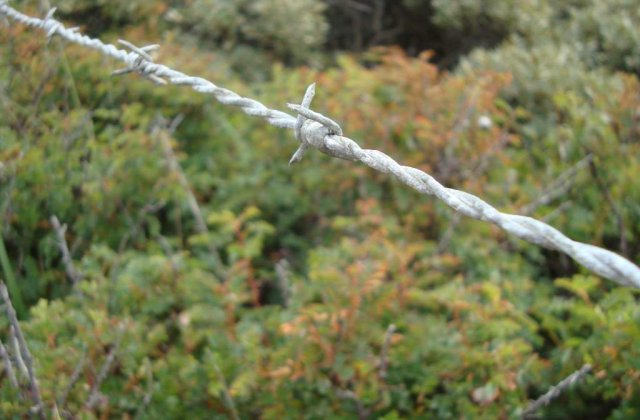 Granita Bulgariei, cea mai sigura din Schengen?