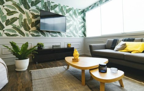  Top  9 motive pentru care trebuie sa ai plante de interior in casa