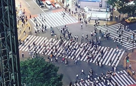  Top  15 fotografii care demonstreaza ca Japonia nu este ca nicio alta tara