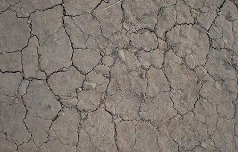 Tabara: Romania trebuie sa devina exportator de produse alimentare