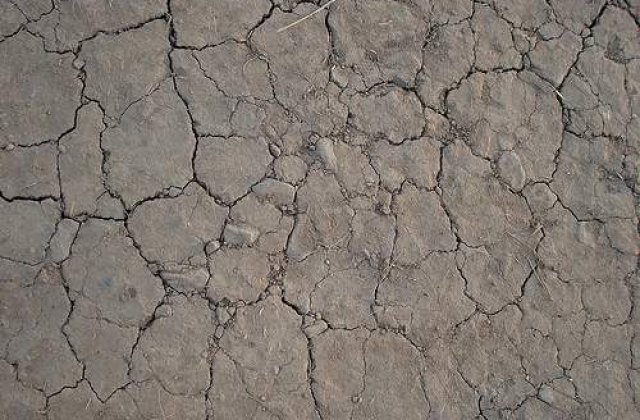 Tabara: Romania trebuie sa devina exportator de produse alimentare