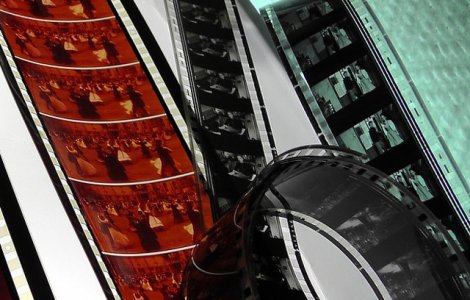 Treizeci de scurtmetraje internationale si romanesti, in competitiile BIDFF 2018