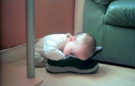  Top  10+ imagini care demonstreaza ca oamenii si pisicile pot dormi in cele mai ciudate locuri si pozitii