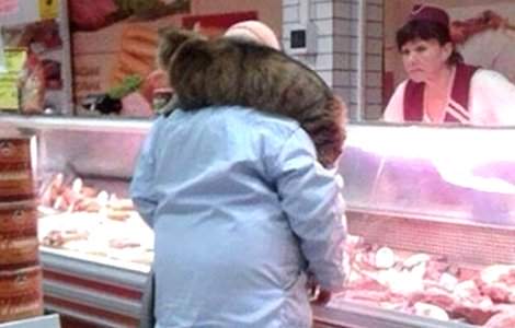  Top  La shopping ca la circ. 10+ ipostaze bizare surprinse la cumparaturi